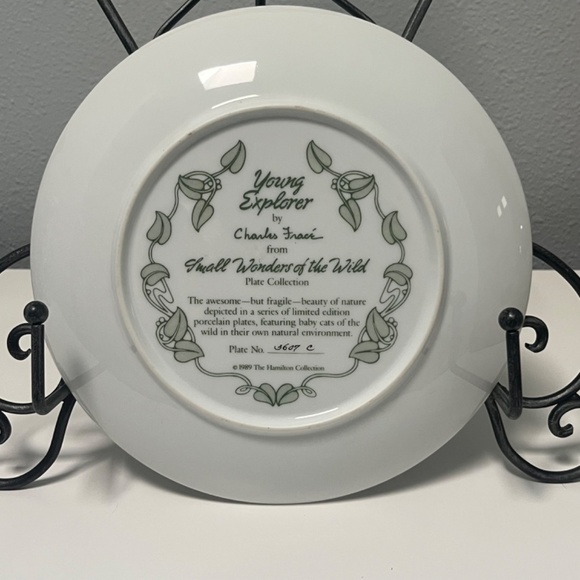 Young Explorer by Charles Fracé  Small Wonders of the Wild Plate # 3607 C - Picture 9 of 13